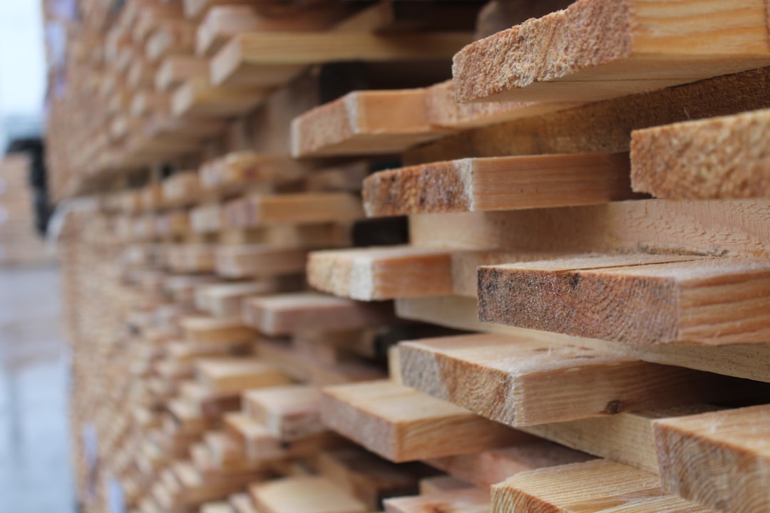 EUDR Compliance Guide for Plywood Importers (2026)