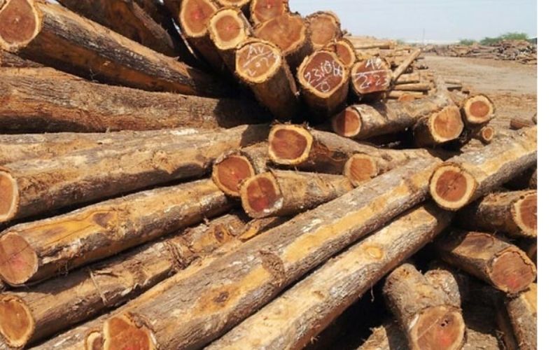 What is Acacia wood?