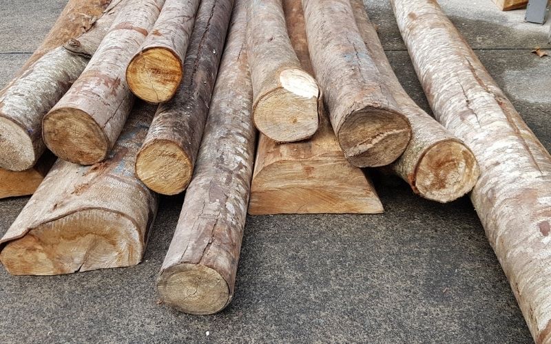 Balsa wood is a lightweight yet strong hardwood