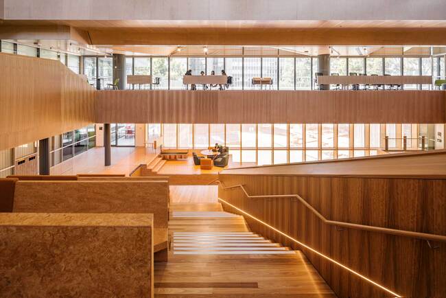 Bamboo plywood is a versatile and environmentally friendly material