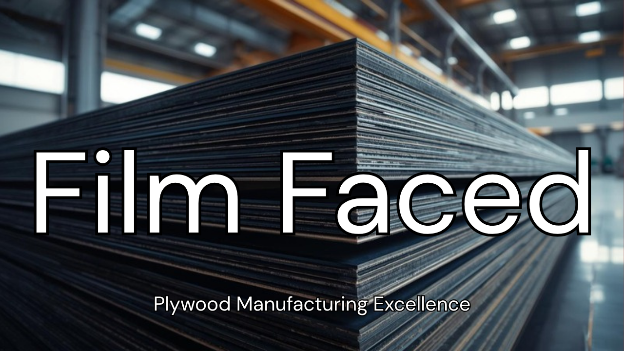 Film Faced Plywood Manufacturing: How It's Made