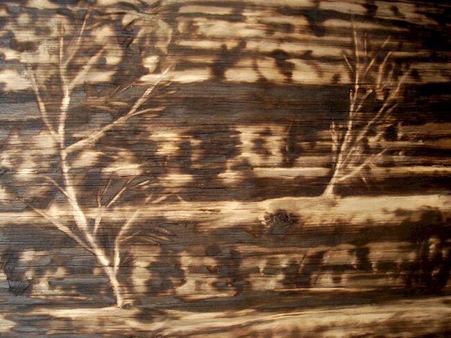 Embrace the unique patterns of burnt plywood.