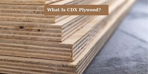 What is CDX Plywood?