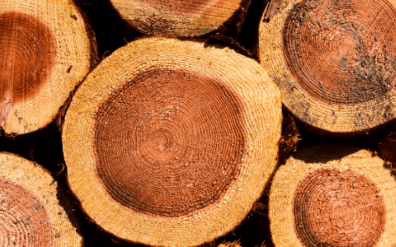 What color is Cedar wood?