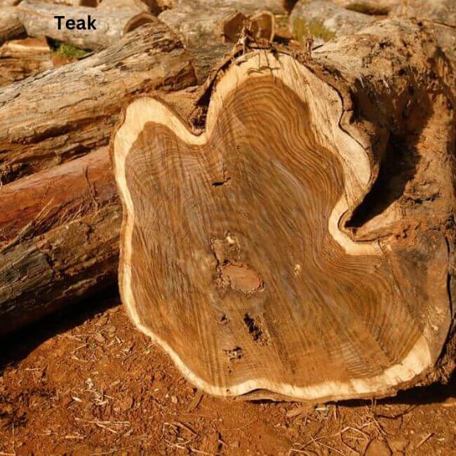 Teak