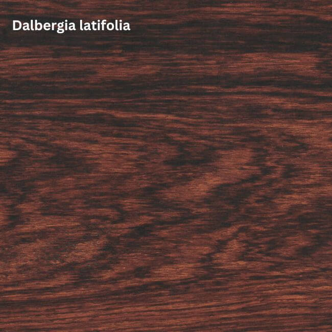Dalbergia latifolia