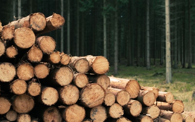 Wood weight is a useful indicator for identifying species