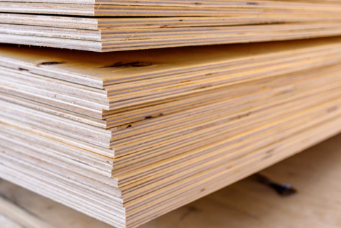 Softwood plywood