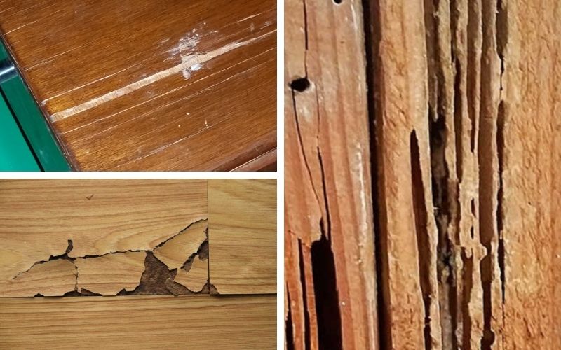 Can rotted plywood be repaired?