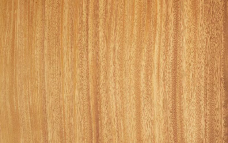 Is mango an expensive wood?