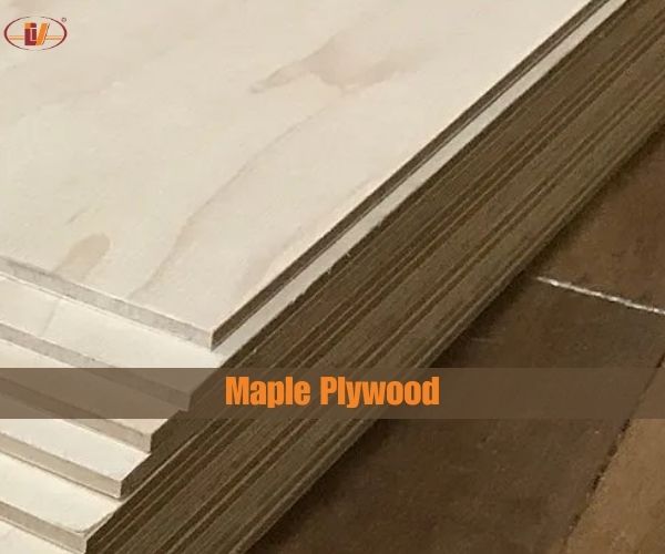 Maple Plywood: Is maple plywood good?