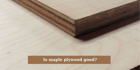 Is maple plywood good?