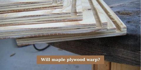 Will maple plywood warp?