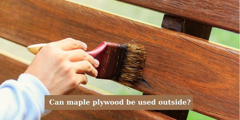 While maple plywood is not typically recommended for outdoor use due to its limited resistance to moisture and weather conditions, other plywood types like spruce, mahogany, Douglas fir, birch, and oak are treated with preservatives to enhance their durability for exterior applications. These treatments help these plywood varieties withstand harsh weather, including strong winds and heavy rain.