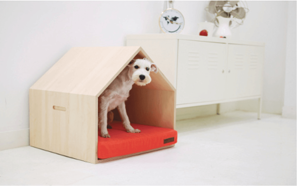 Dog house