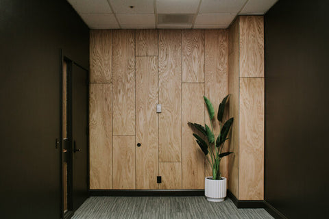 Plywood walls have become a popular choice for homeowners seeking both strength and sustainability in their interior design.