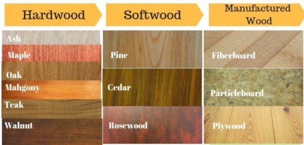 Softwood Types and Their Characteristics