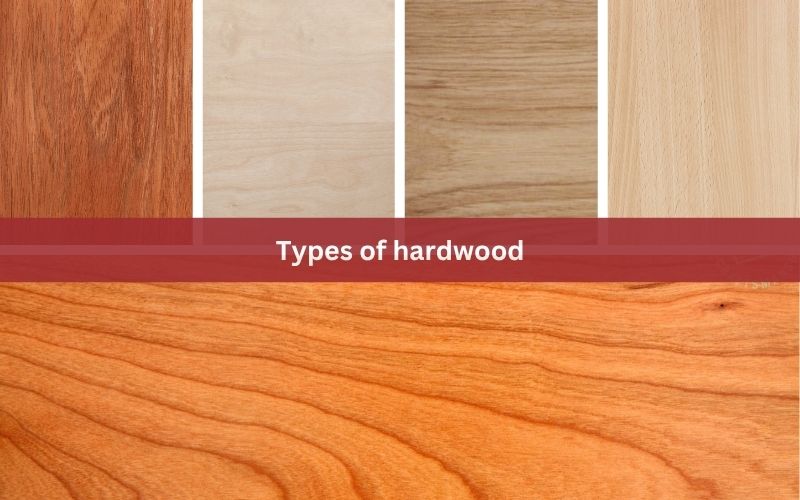Types of hardwood: What is the most common hardwood?