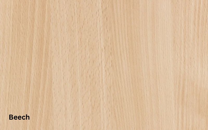 Beech