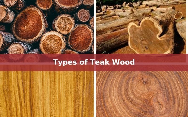 Types of Teak Wood: A Complete Guide to Teak Species