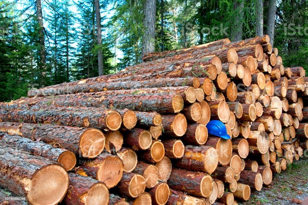 Navigating global pandemic - what's there for Vietnam Plywood industry?