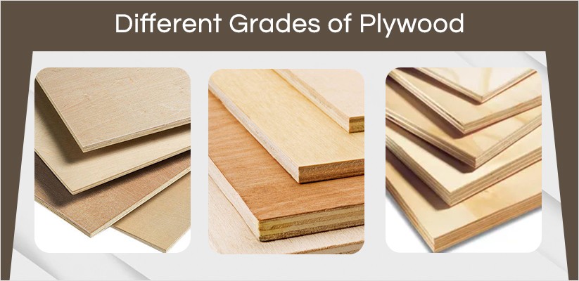 Classification of plywood