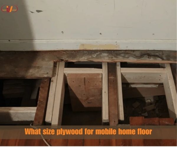 What size plywood for mobile home flooring? How to Replace Mobile Home Subfloor