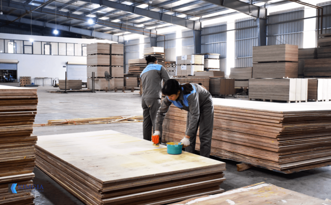 Plywood is recognized as a versatile and extensively utilized building material
