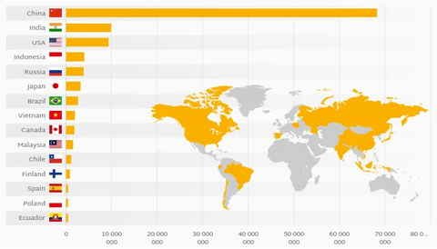 Which country has best plywood in the world?