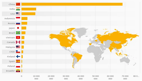 Which country has best plywood in the world?