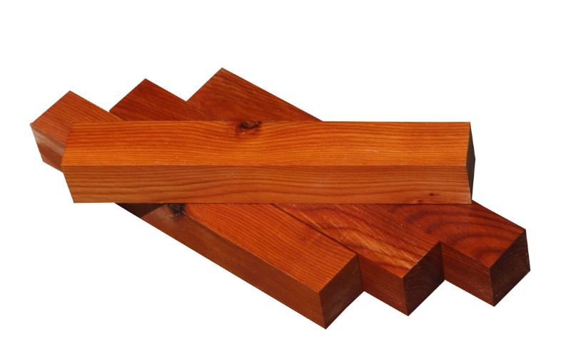 Can you burn yew wood