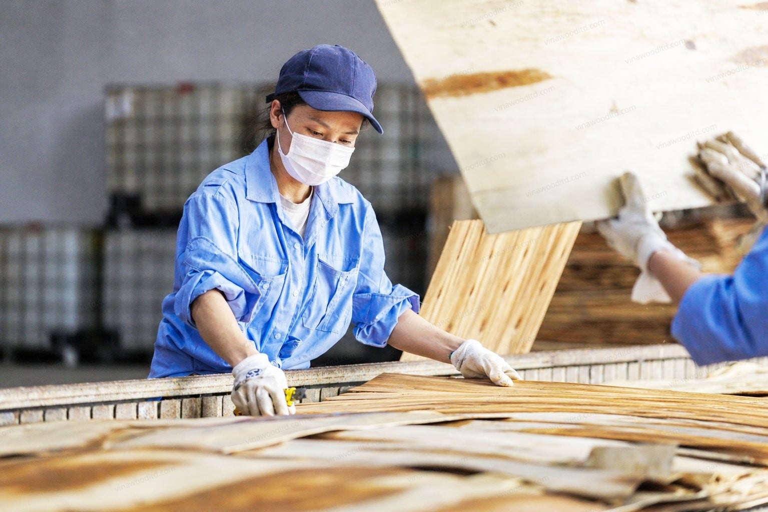 Vinawood worker in gluing and lay-up process for formwork plywood
