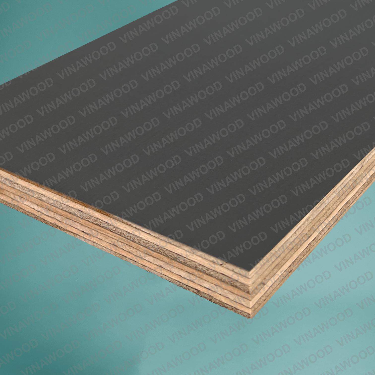 HDO Premium 2S Formply 2440x1220x18 mm